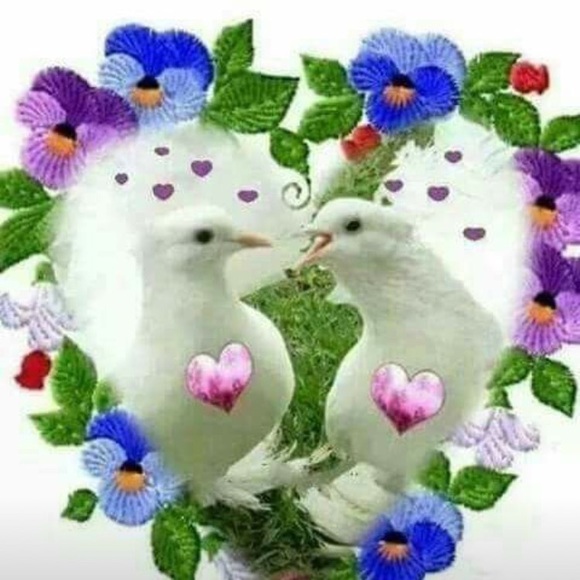 Meet your Posher, Nely - Picture 1 of 1